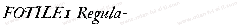 FOTILE1 Regula字体转换